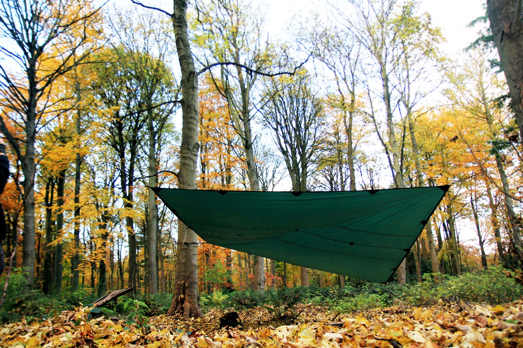 Amazon | DD Hammocks DD タープ 4×4 (オリーブグリーン) | DD